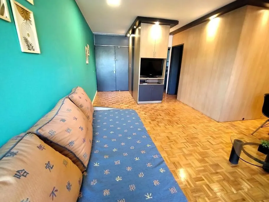 Calido Departamento En Pleno Centro De Mendoza Apartment